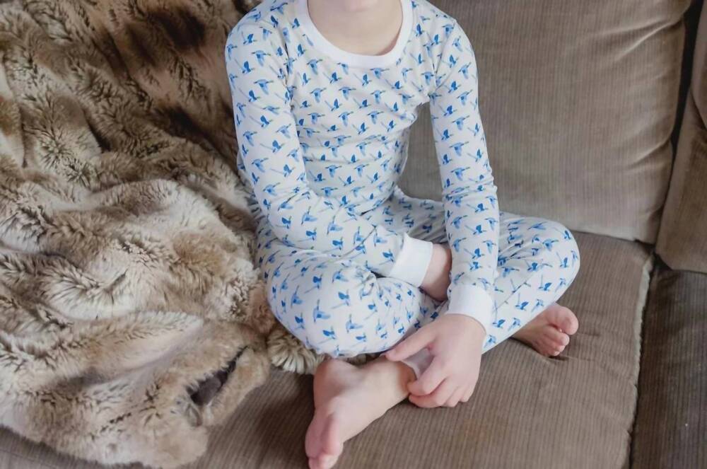 NEW LILA + HAYES boy's grayson boys pajama set in mallard ducks